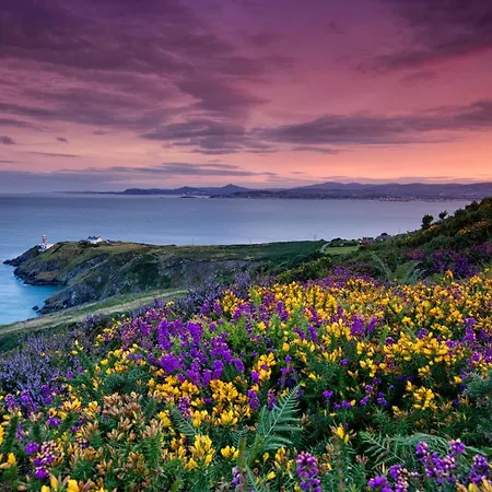 公寓 Grangegorman House